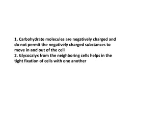 1. Carbohydrate molecules are negatively charged and
do not permit the negatively charged substances to
move in and out of the cell
2. Glycocalyx from the neighboring cells helps in the
tight fixation of cells with one another
 