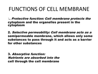 FUNCTIONS OF CELL MEMBRANE
1. Protective function: Cell membrane protects the
cytoplasm and the organelles present in the
cytoplasm
2. Selective permeability: Cell membrane acts as a
semipermeable membrane, which allows only some
substances to pass through it and acts as a barrier
for other substances
3. Absorptive function:
Nutrients are absorbed into the
cell through the cell membrane
 