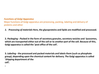 Functions of Golgi Apparatus
Major functions of Golgi apparatus are processing, packing, labeling and delivery of
proteins and other
1. Processing of materials Here, the glycoproteins and lipids are modified and processed.
2. Packaging - Packed in the form of secretory granules, secretory vesicles and lysosomes,
which are transported either out of the cell or to another part of the cell. Because of this,
Golgi apparatus is called the ‘post office of the cell’.
3. Labeling - the processed and packed materials and labels them (such as phosphate
group), depending upon the chemical content for delivery. The Golgi apparatus is called
‘shipping department of the
cell’.
„
 