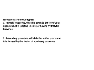 Lysosomes are of two types:
1. Primary lysosome, which is pinched off from Golgi
apparatus. It is inactive in spite of having hydrolytic
Enzymes
2. Secondary lysosome, which is the active lyso some.
It is formed by the fusion of a primary lysosome
 