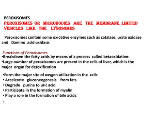 PEROXISOMES
Peroxisomes or microbodies are the membrane limited
vesicles like the lysosomes
Peroxisomes contain some oxidative enzymes such as catalase, urate oxidase
and Damino acid oxidase.
Functions of Peroxisomes
•Breakdown the fatty acids by means of a process called betaoxidation:
•Large number of peroxisomes are present in the cells of liver, which is the
major organ for detoxification
•Form the major site of oxygen utilization in the cells
• Accelerate gluconeogenesis from fats
• Degrade purine to uric acid
• Participate in the formation of myelin
• Play a role in the formation of bile acids.
„
 