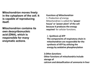 Mitochondrion moves freely
in the cytoplasm of the cell. It
is capable of reproducing
itself.
Mitochondrion contains its
own deoxyribonucleic
acid (DNA), which is
responsible for many
enzymatic actions.
Functions of Mitochondrion
1. Production of energy
Mitochondrion is called the ‘power
house’ or ‘power plant’ of the cell
because it produces the energy
required for cellular functions.
2. Synthesis of ATP
The components of respiratory chain in
mitochondrion are responsible for the
synthesis of ATP by utilizing the
energy by oxidative phosphorylation
3.Other functions
Other functions of mitochondria include
storage of
calcium and detoxification of ammonia in liver
 