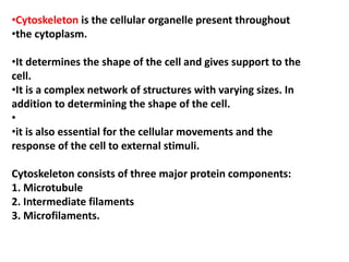 •Cytoskeleton is the cellular organelle present throughout
•the cytoplasm.
•It determines the shape of the cell and gives support to the
cell.
•It is a complex network of structures with varying sizes. In
addition to determining the shape of the cell.
•
•it is also essential for the cellular movements and the
response of the cell to external stimuli.
Cytoskeleton consists of three major protein components:
1. Microtubule
2. Intermediate filaments
3. Microfilaments.
 