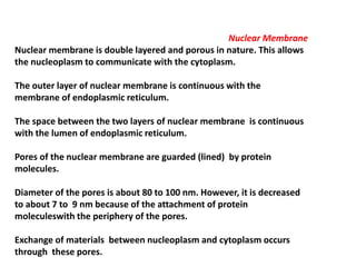 Nuclear Membrane
Nuclear membrane is double layered and porous in nature. This allows
the nucleoplasm to communicate with the cytoplasm.
The outer layer of nuclear membrane is continuous with the
membrane of endoplasmic reticulum.
The space between the two layers of nuclear membrane is continuous
with the lumen of endoplasmic reticulum.
Pores of the nuclear membrane are guarded (lined) by protein
molecules.
Diameter of the pores is about 80 to 100 nm. However, it is decreased
to about 7 to 9 nm because of the attachment of protein
moleculeswith the periphery of the pores.
Exchange of materials between nucleoplasm and cytoplasm occurs
through these pores.
 