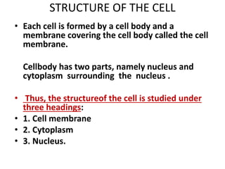 STRUCTURE OF THE CELL
• Each cell is formed by a cell body and a
membrane covering the cell body called the cell
membrane.
Cellbody has two parts, namely nucleus and
cytoplasm surrounding the nucleus .
• Thus, the structureof the cell is studied under
three headings:
• 1. Cell membrane
• 2. Cytoplasm
• 3. Nucleus.
 