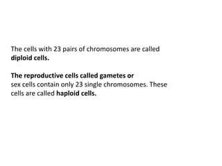 The cells with 23 pairs of chromosomes are called
diploid cells.
The reproductive cells called gametes or
sex cells contain only 23 single chromosomes. These
cells are called haploid cells.
 