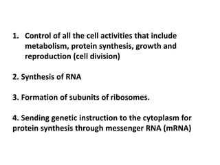 1. Control of all the cell activities that include
metabolism, protein synthesis, growth and
reproduction (cell division)
2. Synthesis of RNA
3. Formation of subunits of ribosomes.
4. Sending genetic instruction to the cytoplasm for
protein synthesis through messenger RNA (mRNA)
 