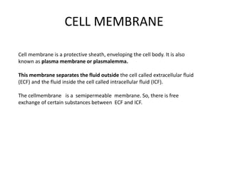 Cell membrane is a protective sheath, enveloping the cell body. It is also
known as plasma membrane or plasmalemma.
This membrane separates the fluid outside the cell called extracellular fluid
(ECF) and the fluid inside the cell called intracellular fluid (ICF).
The cellmembrane is a semipermeable membrane. So, there is free
exchange of certain substances between ECF and ICF.
CELL MEMBRANE
 