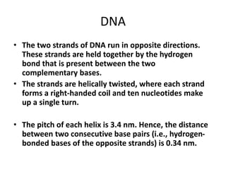 DNA
• The two strands of DNA run in opposite directions.
These strands are held together by the hydrogen
bond that is present between the two
complementary bases.
• The strands are helically twisted, where each strand
forms a right-handed coil and ten nucleotides make
up a single turn.
• The pitch of each helix is 3.4 nm. Hence, the distance
between two consecutive base pairs (i.e., hydrogen-
bonded bases of the opposite strands) is 0.34 nm.
 