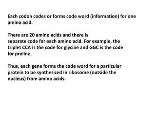 Each codon codes or forms code word (information) for one
amino acid.
There are 20 amino acids and there is
separate code for each amino acid. For example, the
triplet CCA is the code for glycine and GGC is the code
for proline.
Thus, each gene forms the code word for a particular
protein to be synthesized in ribosome (outside the
nucleus) from amino acids.
 