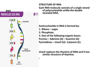 RNA
STRUCTURE OF RNA
Each RNA molecule consists of a single strand
of polynucleotide unlike the double
stranded DNA.
Eachnucleotide in RNA is formed by:
1. Ribose – sugar.
2. Phosphate.
3. One of the following organic bases:
Purines – Adenine (A) – Guanine (G)
Pyrimidines – Uracil (U)– Cytosine (C).
Uracil replaces the thymine of DNA and it has
similar structure of thymine.
„
rna
 