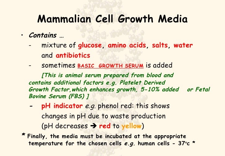 Cell Culture