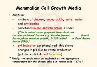 Mammalian Cell Growth Media Contains … - mixture of  glucose ,  amino   acids ,  salts ,  water and   antibiotics - sometimes  BASIC  GROWTH SERUM  is added [This is animal serum prepared from blood and  contains additional factors e.g. Platelet Derived  Growth Factor,which enhances growth, 5-10% added  or Fetal Bovine Serum (FBS) ] - pH indicator   e.g.  phenol red: this shows  changes in pH due to waste production  (pH decreases     red  to  yellow ) *  Finally, the media must be incubated at the appropriate temperature for the chosen cells  e.g.  human cells - 37 o c * 