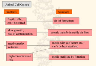 Animal Cell Culture Solutions fragile cells ; can’t be stirred air lift fermenters slow growth ; risk of contamination Problems aseptic transfer in sterile air flow need complex  nutrients media with calf serum etc. ; can’t be heat sterilised media sterilised by filtration high contamination  risk 
