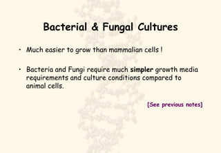 Bacterial & Fungal Cultures Much easier to grow than mammalian cells ! Bacteria and Fungi require much  simpler  growth media requirements and culture conditions compared to animal cells. [See previous notes] 