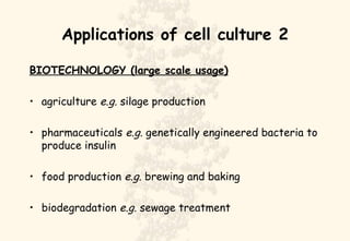 Applications of cell culture 2 BIOTECHNOLOGY (large scale usage) agriculture  e.g.  silage production pharmaceuticals  e.g.  genetically engineered bacteria to produce insulin food production  e.g.  brewing and baking biodegradation  e.g.  sewage treatment 