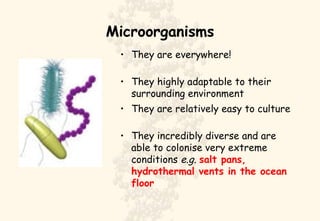 Microorganisms They are everywhere! They highly adaptable to their surrounding environment They are relatively easy to culture They incredibly diverse and are able to colonise very extreme conditions  e.g.   salt pans, hydrothermal vents in the ocean floor 