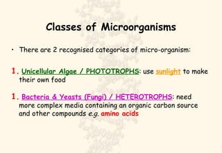 Classes of Microorganisms There are 2 recognised categories of micro-organism: 1.   Unicellular Algae / PHOTOTROPHS : use  sunlight  to make their own food 1.   Bacteria & Yeasts (Fungi) / HETEROTROPHS : need more complex media containing an organic carbon source and other compounds  e.g.   amino acids 