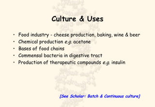 Culture & Uses Food industry - cheese production, baking, wine & beer Chemical production  e.g.  acetone Bases of food chains Commensal bacteria in digestive tract Production of therapeutic compounds  e.g.  insulin [See Scholar: Batch & Continuous culture] 