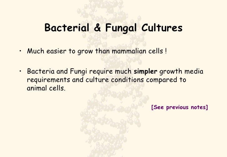 cell culture tissue culture flow chart