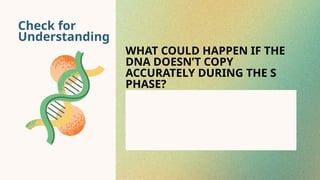 Check for
Understanding
WHAT COULD HAPPEN IF THE
DNA DOESN’T COPY
ACCURATELY DURING THE S
PHASE?
 