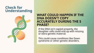 Check for
Understanding
WHAT COULD HAPPEN IF THE
DNA DOESN’T COPY
ACCURATELY DURING THE S
PHASE?
If the DNA isn't copied properly, the
daughter cells could end up with missing
or extra genetic material.
This could cause conditions like Down
syndrome or other genetic disorders.
 
