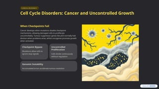 Cell-Cycle-and-Cell-Theory-The-Foundation-of-Life.pptx
