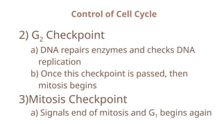 CELL-CYCLE-AND-STAGES-OF-MITOSIS (1).pptx