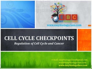 Cell-Cycle-Checkpoints-PPT-by-Easybiologyclass.pptx