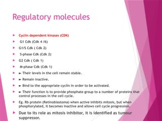 Cdk Ranges Cell-cycle-its-regulation and Check points.pptx