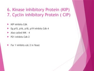 Cell-cycle-its-regulation and Check points.pptx