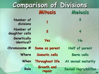 cell-cycle-mitosis-meiosis and its application | PPT