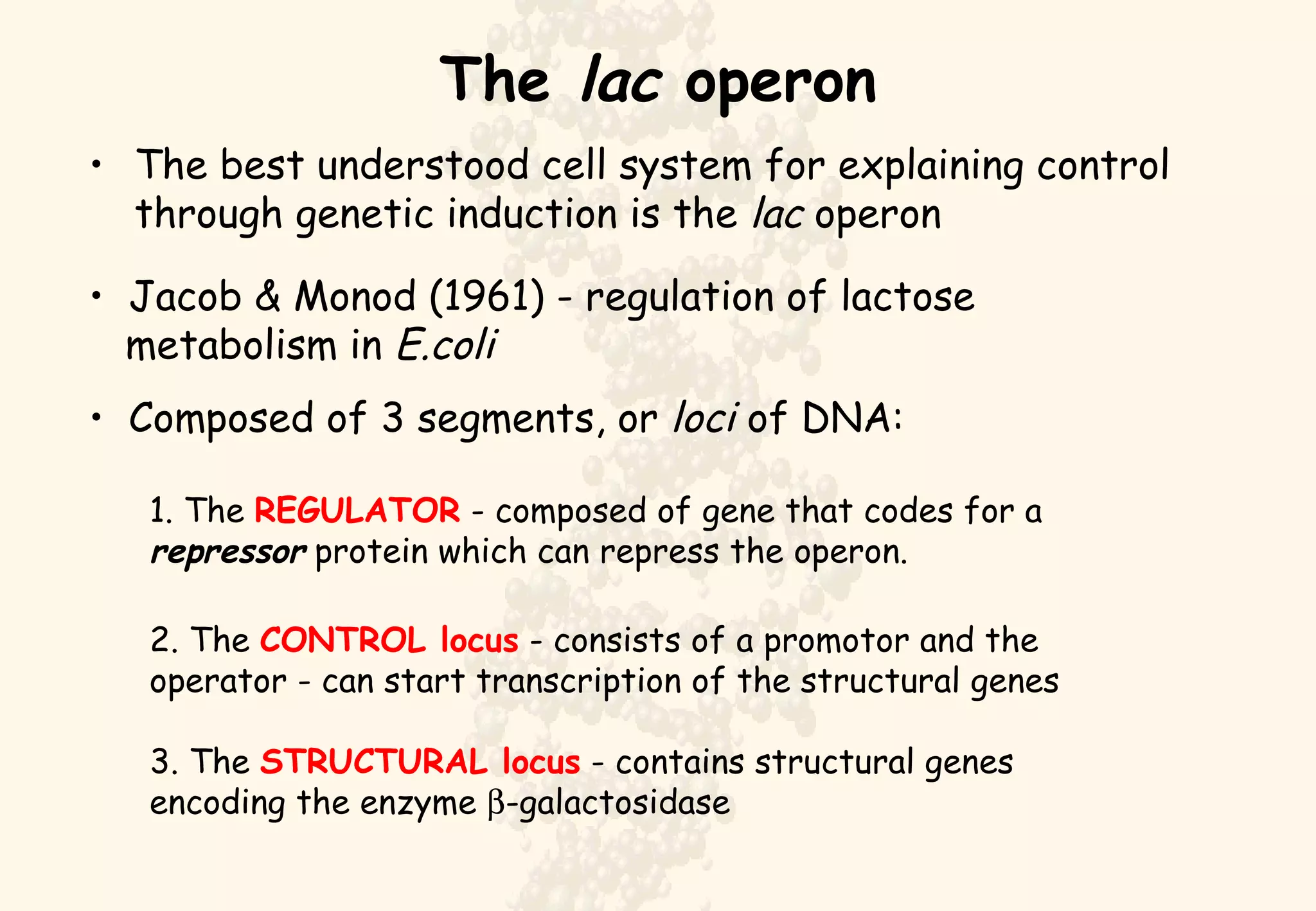 The  lac  operon The best understood cell system for explaining control through genetic induction is the  lac  operon Jacob & Monod (1961) - regulation of lactose metabolism in  E.coli Composed of 3 segments, or  loci  of DNA: 1. The  REGULATOR  - composed of gene that codes for a  repressor  protein which can repress the operon. 2. The  CONTROL locus  - consists of a promotor and the operator - can start transcription of the structural genes 3. The  STRUCTURAL locus  - contains structural genes encoding the enzyme   -galactosidase 