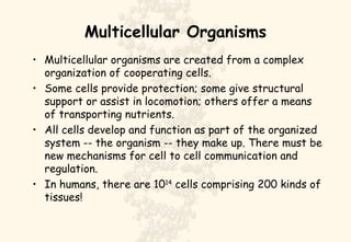 Multicellular Organisms ,[object Object],[object Object],[object Object],[object Object]