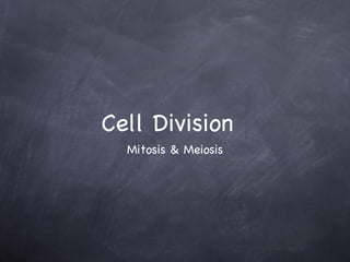 Cell Division ,[object Object]