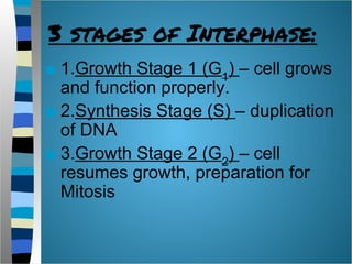 Cell-Division.ppt.pdf PowerPoint presentation | PDF