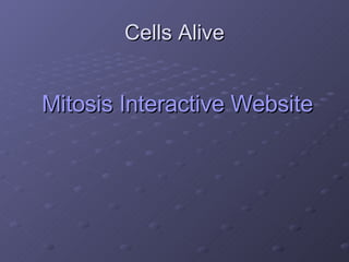 Cells Alive Mitosis Interactive Website 