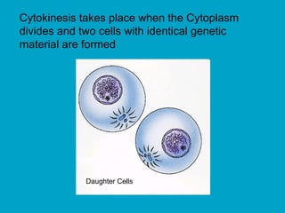 Cytokinesis takes place when the Cytoplasm
divides and two cells with identical genetic
material are formed
Daughter Cells
 