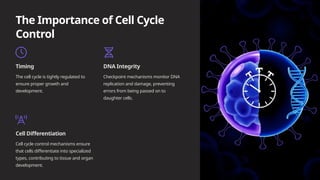 Timing Cell Cell-Division-The-Foundation-of-Life.pptx