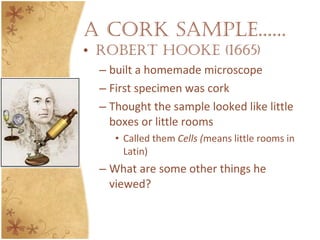 A Cork Sample...... Robert Hooke (1665) built a homemade microscope First specimen was cork Thought the sample looked like little boxes or little rooms Called them  Cells ( means little rooms in Latin) What are some other things he viewed?  