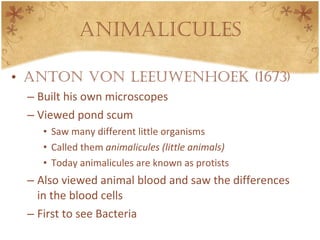 Animalicules Anton Von Leeuwenhoek (1673) Built his own microscopes Viewed pond scum Saw many different little organisms Called them  animalicules (little animals) Today animalicules are known as protists Also viewed animal blood and saw the differences in the blood cells First to see Bacteria 