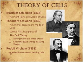 Theory of Cells Matthias Schleiden (1838) All Plant Parts are Made of Cells Theodore Schwann (1839) All Animal Tissues are Made of Cells Wrote First two parts of  The Cell Theory All Organisms are made of cells Cell is the Basic Unit of all Living Things Rudolf Virchow (1858) 3. All Cells Come From Existing Cells 
