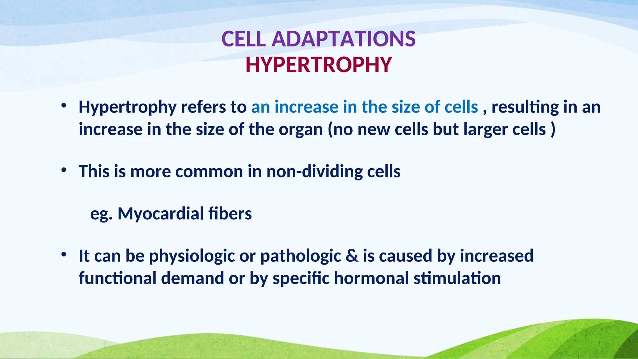 CELL ADAPTATIONS
HYPERTROPHY
• Hypertrophy refers to an increase in the size of cells , resulting in an
increase in the size of the organ (no new cells but larger cells )
• This is more common in non-dividing cells
eg. Myocardial fibers
• It can be physiologic or pathologic & is caused by increased
functional demand or by specific hormonal stimulation
 