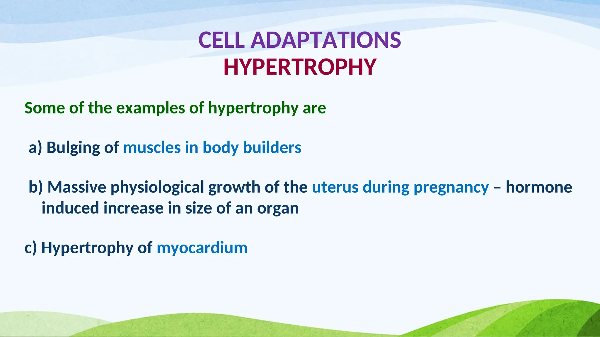 CELL ADAPTATIONS
HYPERTROPHY
Some of the examples of hypertrophy are
a) Bulging of muscles in body builders
b) Massive physiological growth of the uterus during pregnancy – hormone
induced increase in size of an organ
c) Hypertrophy of myocardium
 