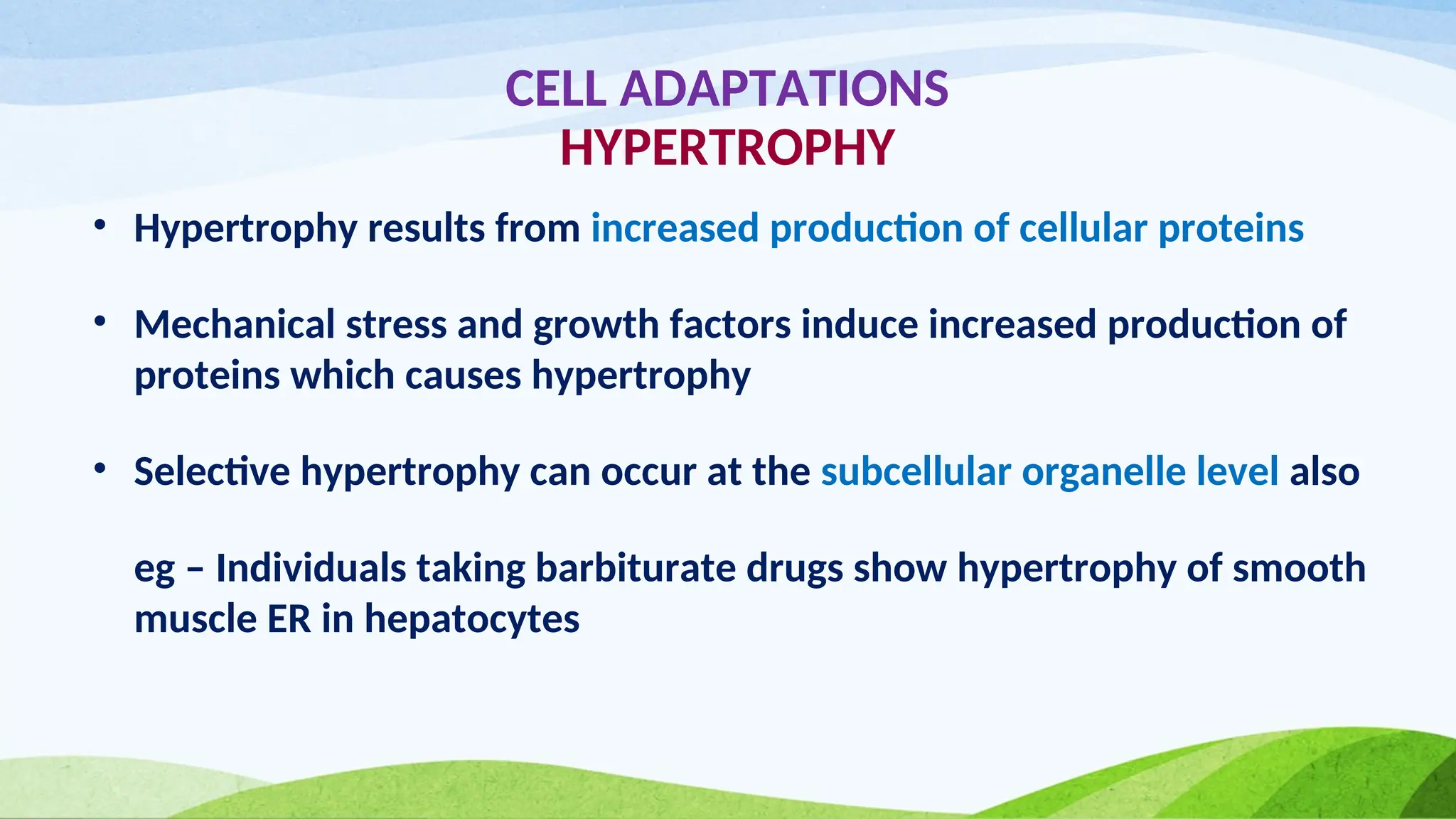 CELL ADAPTATIONS
HYPERTROPHY
• Hypertrophy results from increased production of cellular proteins
• Mechanical stress and growth factors induce increased production of
proteins which causes hypertrophy
• Selective hypertrophy can occur at the subcellular organelle level also
eg – Individuals taking barbiturate drugs show hypertrophy of smooth
muscle ER in hepatocytes
 