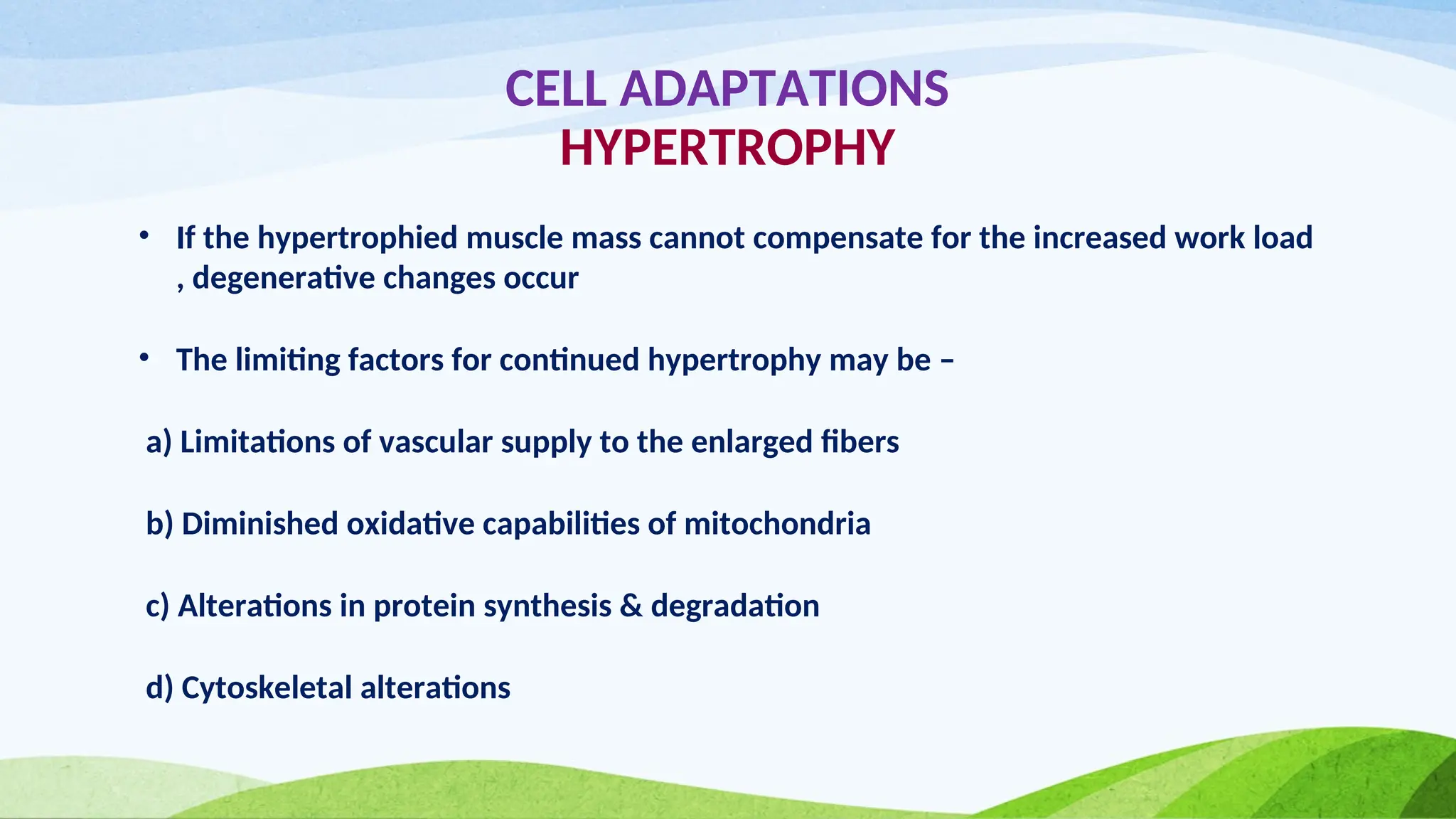 CELL ADAPTATIONS
HYPERTROPHY
• If the hypertrophied muscle mass cannot compensate for the increased work load
, degenerative changes occur
• The limiting factors for continued hypertrophy may be –
a) Limitations of vascular supply to the enlarged fibers
b) Diminished oxidative capabilities of mitochondria
c) Alterations in protein synthesis & degradation
d) Cytoskeletal alterations
 