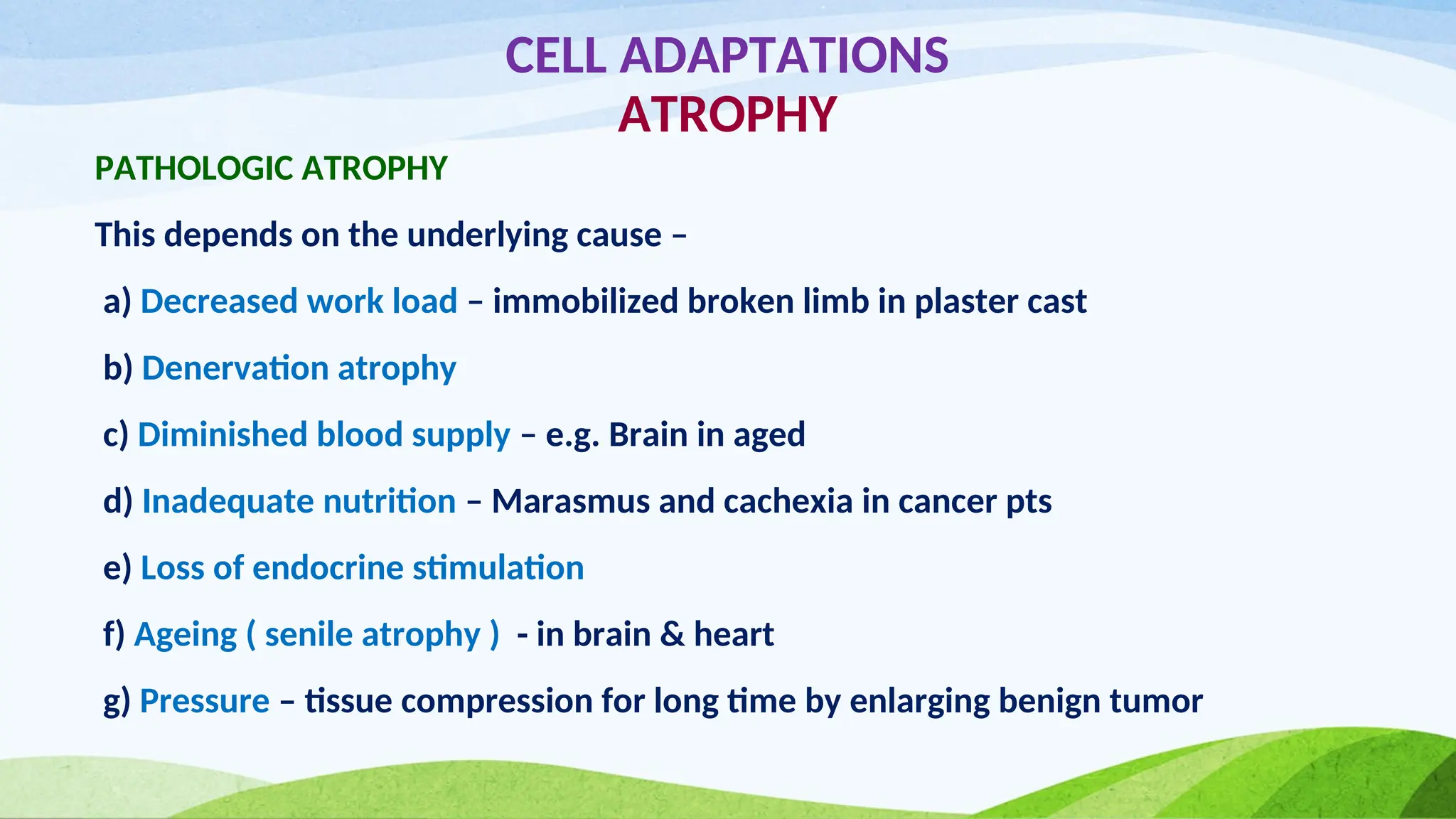 CELL ADAPTATIONS
ATROPHY
PATHOLOGIC ATROPHY
This depends on the underlying cause –
a) Decreased work load – immobilized broken limb in plaster cast
b) Denervation atrophy
c) Diminished blood supply – e.g. Brain in aged
d) Inadequate nutrition – Marasmus and cachexia in cancer pts
e) Loss of endocrine stimulation
f) Ageing ( senile atrophy ) - in brain & heart
g) Pressure – tissue compression for long time by enlarging benign tumor
 