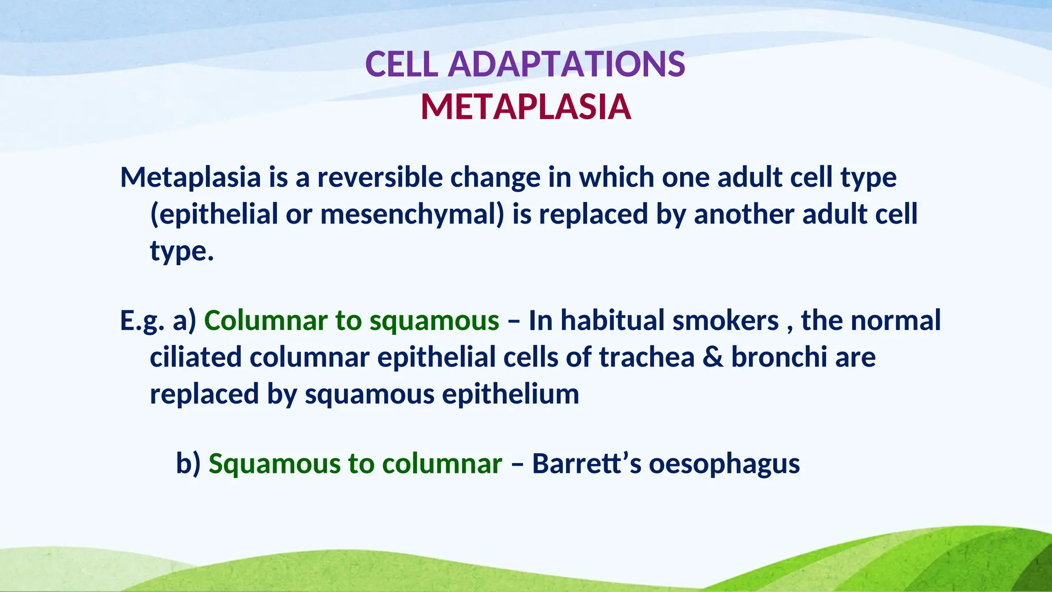 CELL ADAPTATIONS
METAPLASIA
Metaplasia is a reversible change in which one adult cell type
(epithelial or mesenchymal) is replaced by another adult cell
type.
E.g. a) Columnar to squamous – In habitual smokers , the normal
ciliated columnar epithelial cells of trachea & bronchi are
replaced by squamous epithelium
b) Squamous to columnar – Barrett’s oesophagus
 