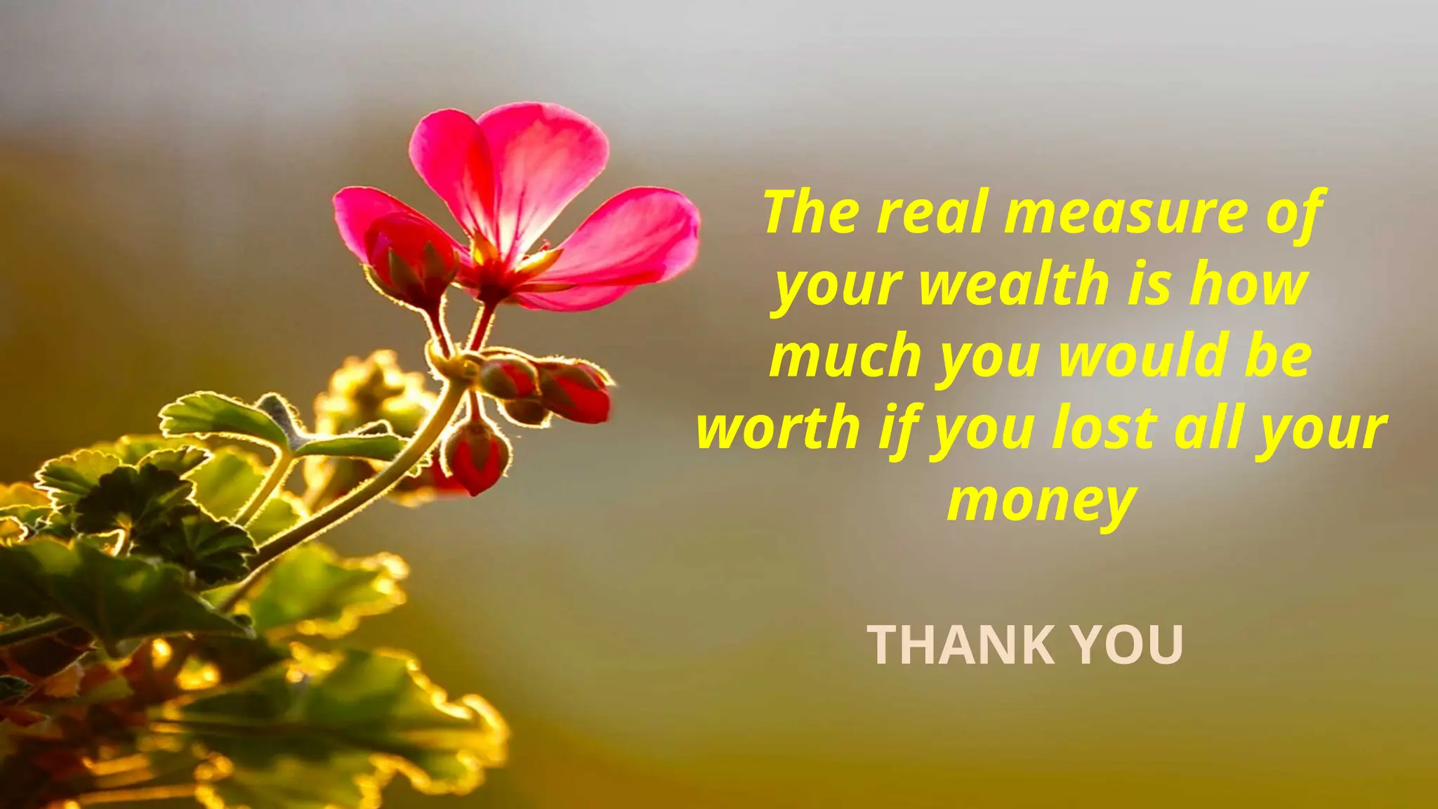 THANK YOU
The real measure of
your wealth is how
much you would be
worth if you lost all your
money
 