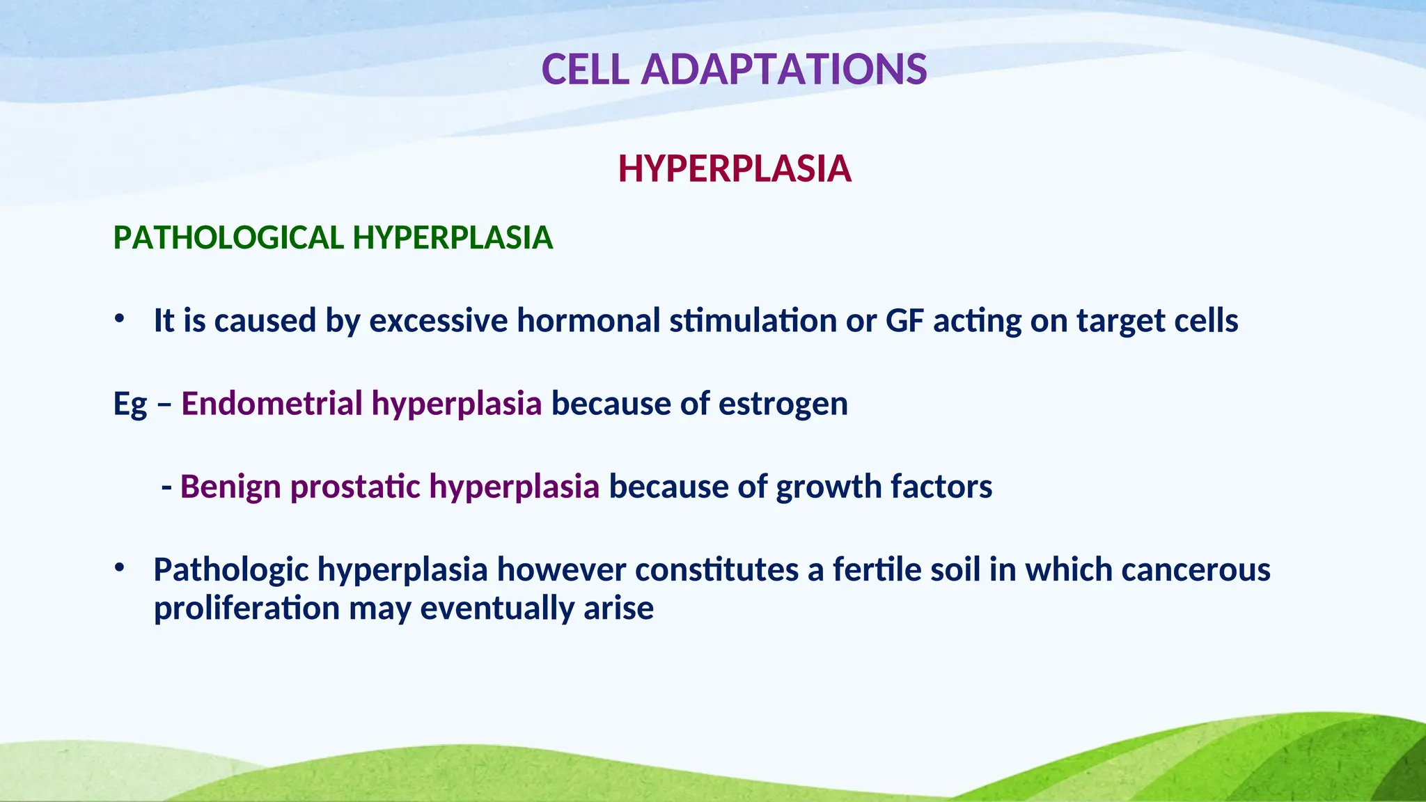 CELL ADAPTATIONS
HYPERPLASIA
PATHOLOGICAL HYPERPLASIA
• It is caused by excessive hormonal stimulation or GF acting on target cells
Eg – Endometrial hyperplasia because of estrogen
- Benign prostatic hyperplasia because of growth factors
• Pathologic hyperplasia however constitutes a fertile soil in which cancerous
proliferation may eventually arise
 